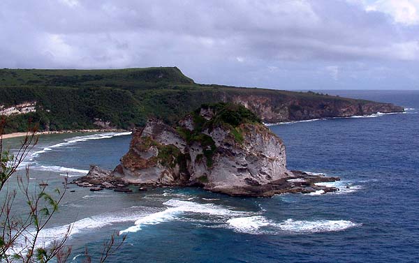 Bird Island