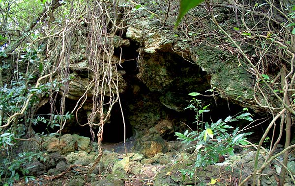 Cave entrance