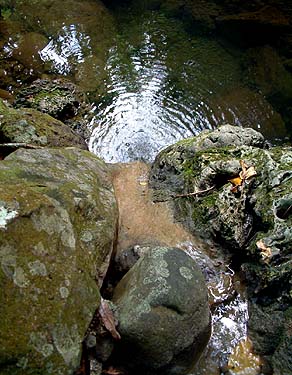 Water pool