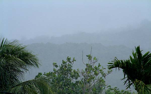 Mountain rain