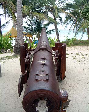 Cannon