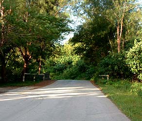 Samoan Bridge