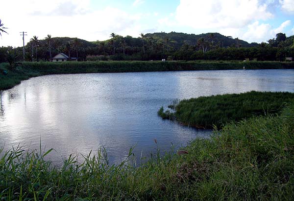 Aquaculture Pond