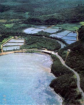 Talofofo Aquaculture