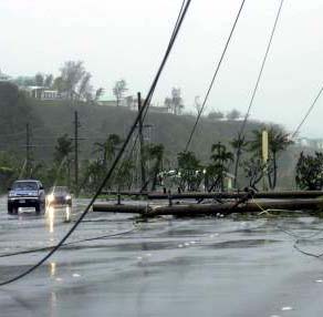 Utility Poles Down