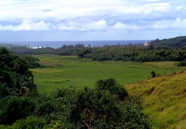 Upland Field