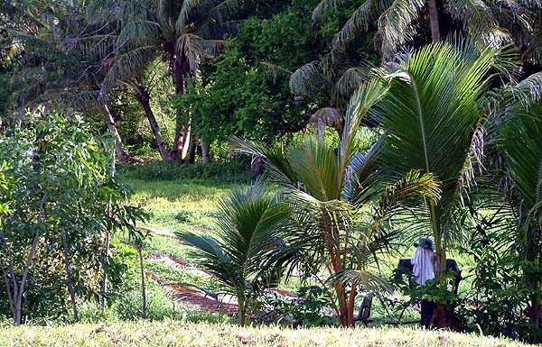 Farm in Malojloj