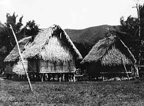 Grass Huts