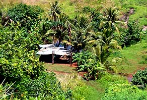 Ranch from Above