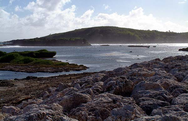 Coastal rocks