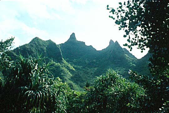 Cliffs above Ha'ena