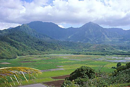 Hanalei Valley