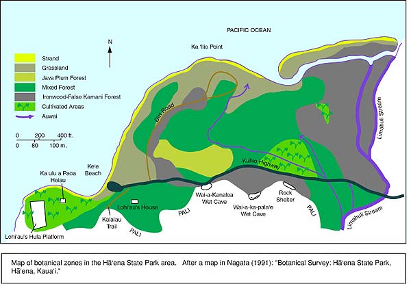 Vegetation zones map