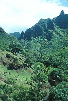 Limahuli Cliffs