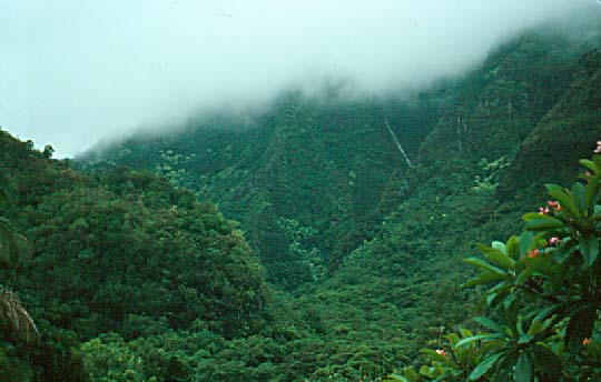 Manoa Falls