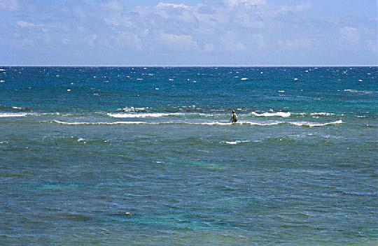 Fishing on the Reef