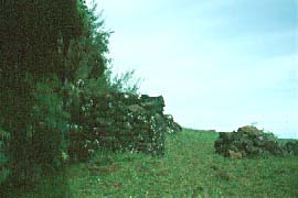 Entrance to Heiau