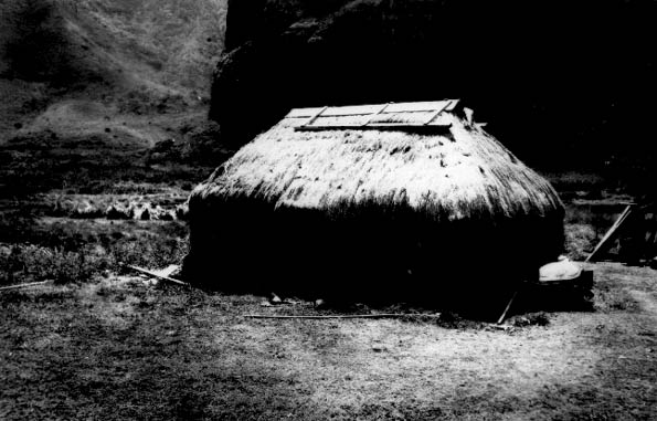 Grass House, Ha`ena