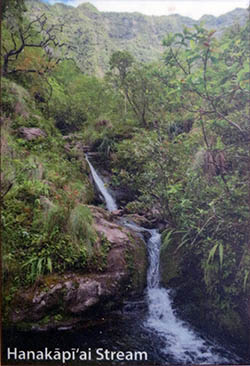 Hanakapi`ai Falls