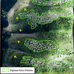 Kukui Map