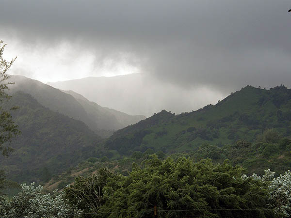 Rain clouds