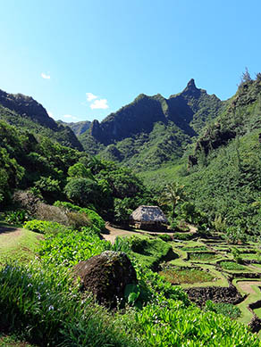 Limahuli Valley