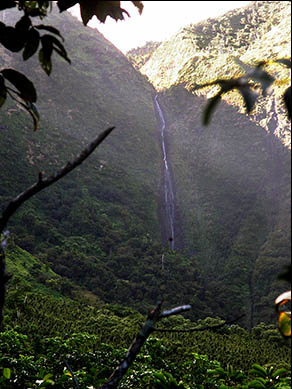 Limahuli Falls