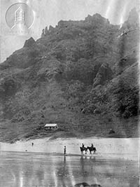 Horses on Beach