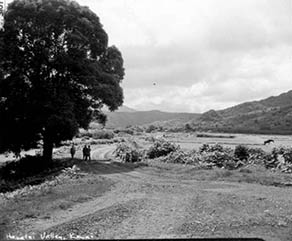 Hanalei Road