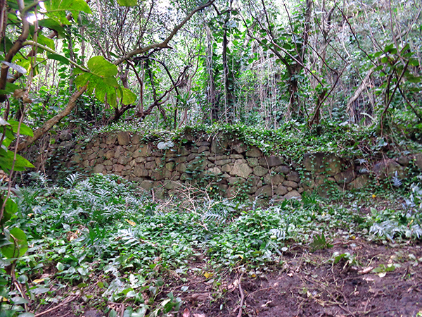 Lohi`au's house platform