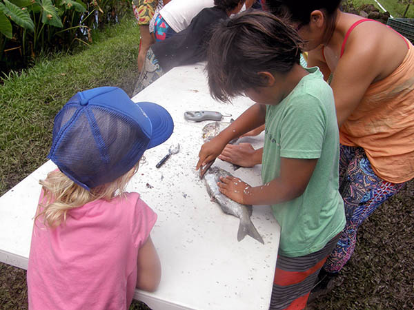 Kids learning about fish