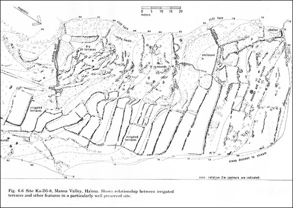 Manoa Map