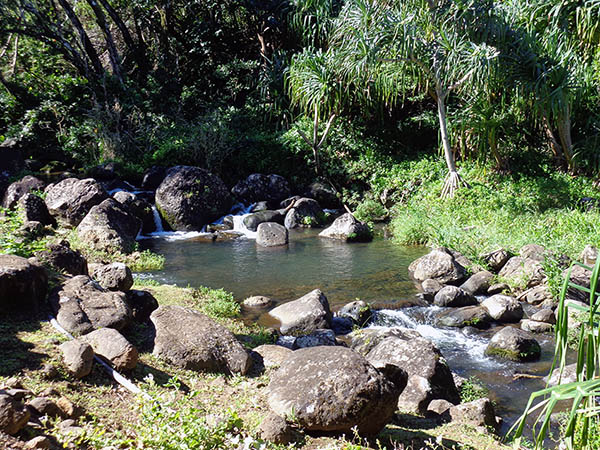 Limahuli Stream