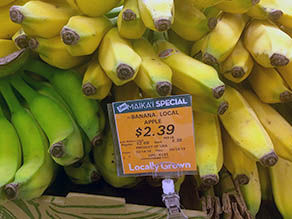 Local Bananas