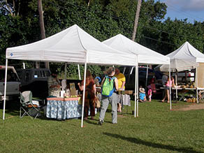 People at Farmers Market