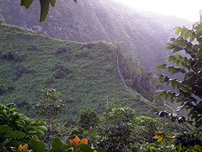 Fence up hills