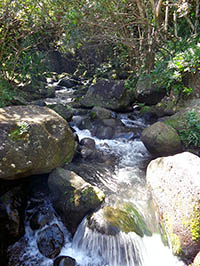 Limahuli Stream