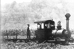 Koloa Cane Train