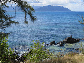 Makua Bay