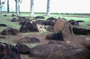 `Kukaniloko Birth Stones