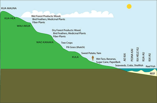 Areas chart