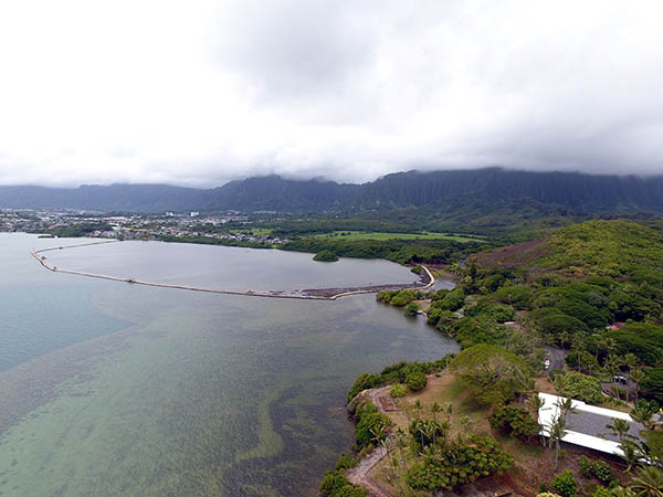 Fishpond aerial view