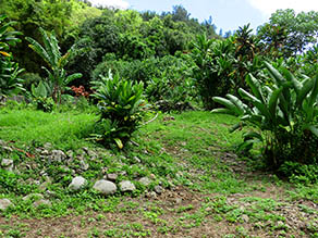 Top of the Heiau