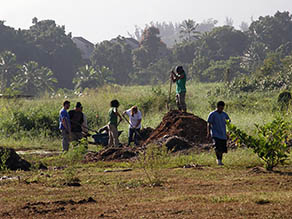 Workers at mulch pile