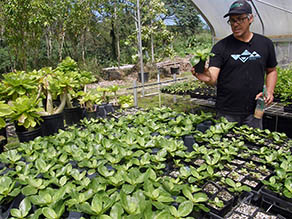 Rick and plants inside greenhouse