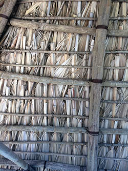 Thatching