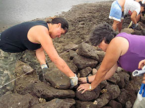 Wall building at the fish pond