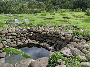 Kapuna spring