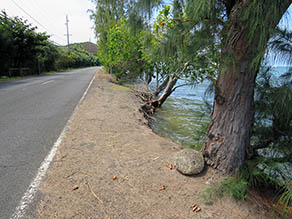 Sea level rise Kahalu`u