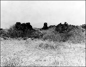 Ruins of St. Catherine's church